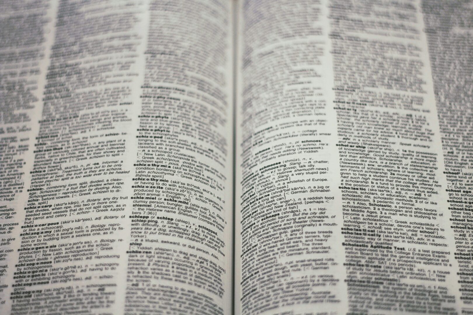 pages-of-dictionary