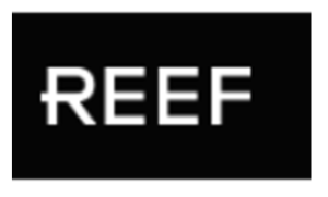 reef