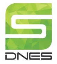 dnes-finc