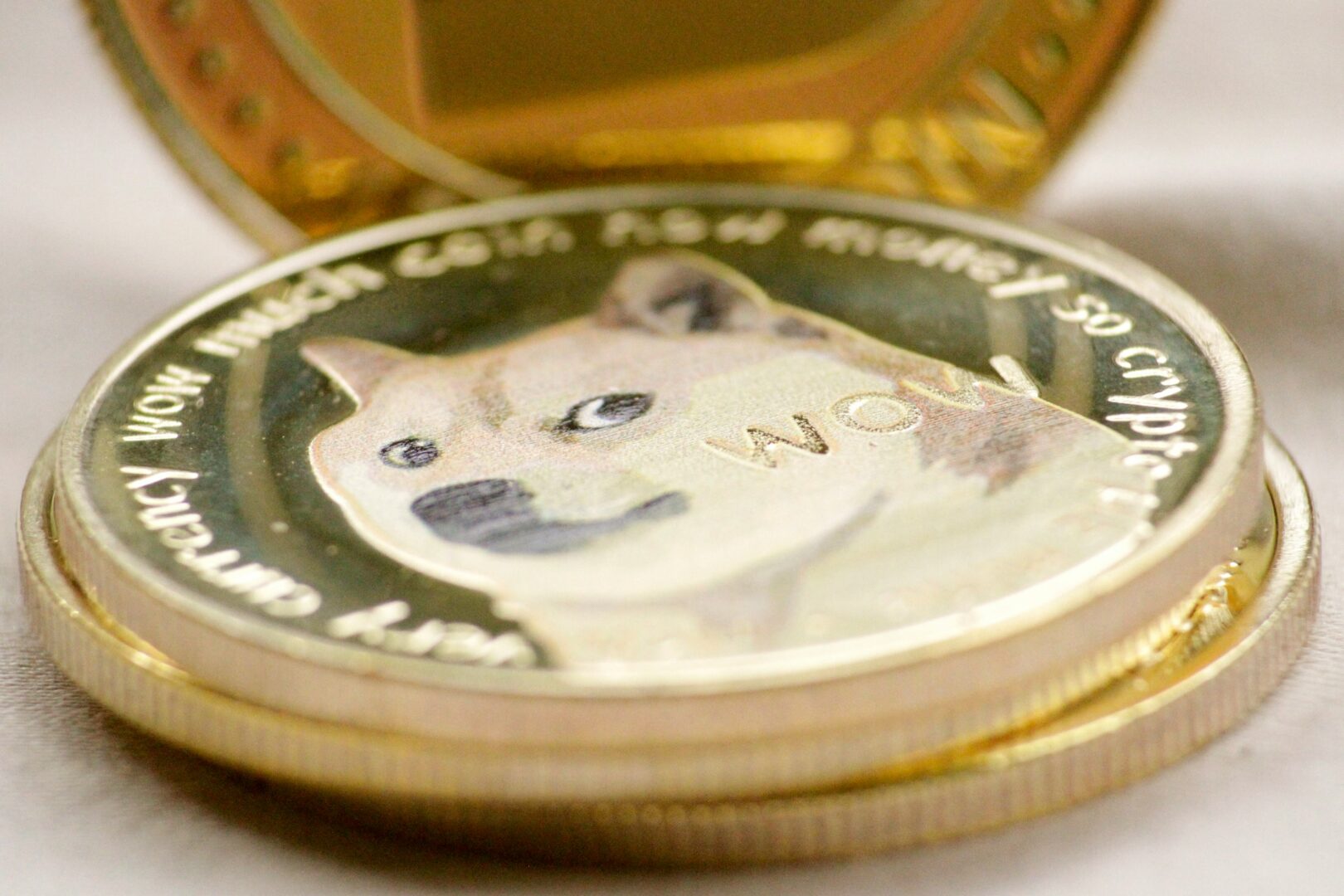 doge-coin