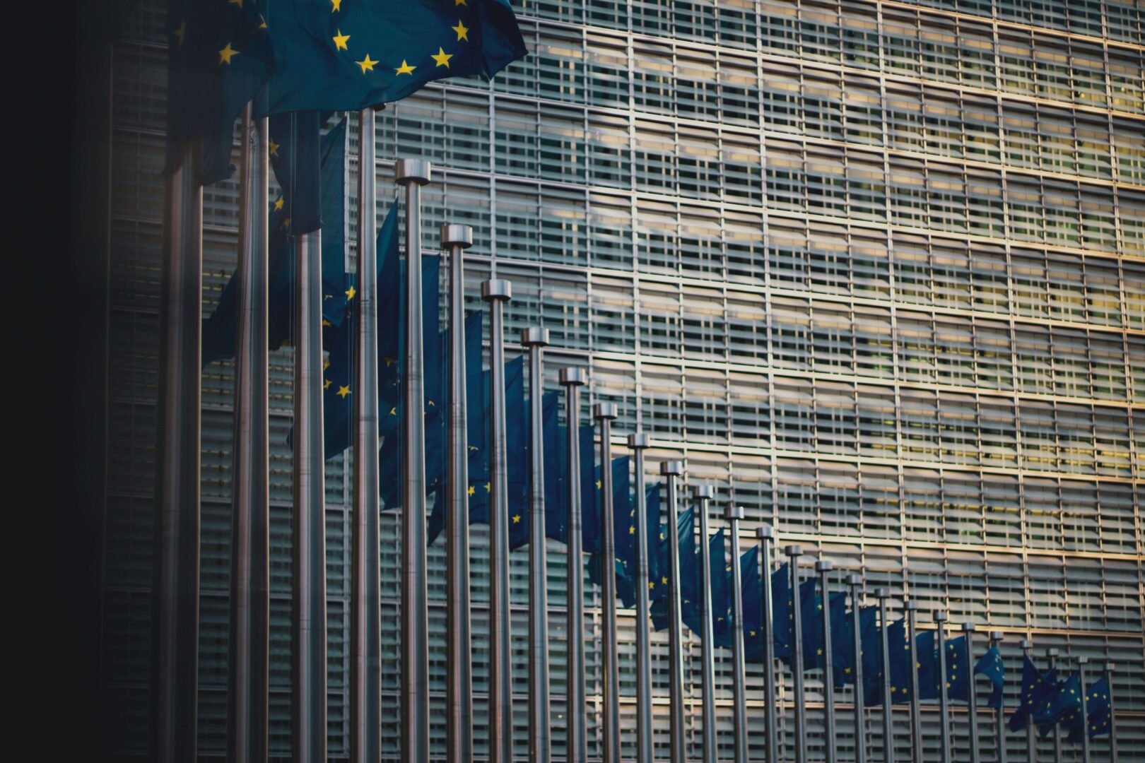 european-union-flags