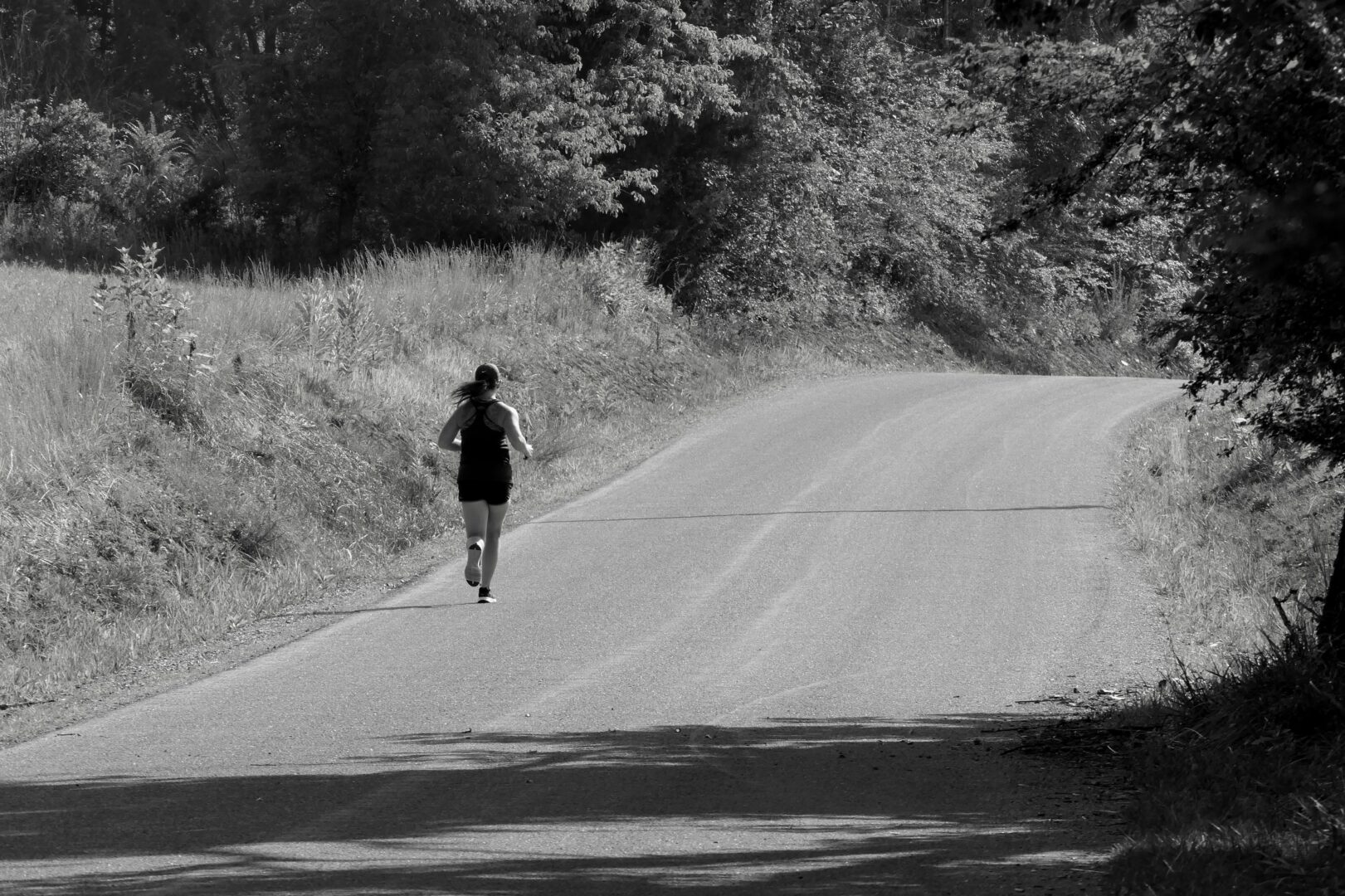 road-runner