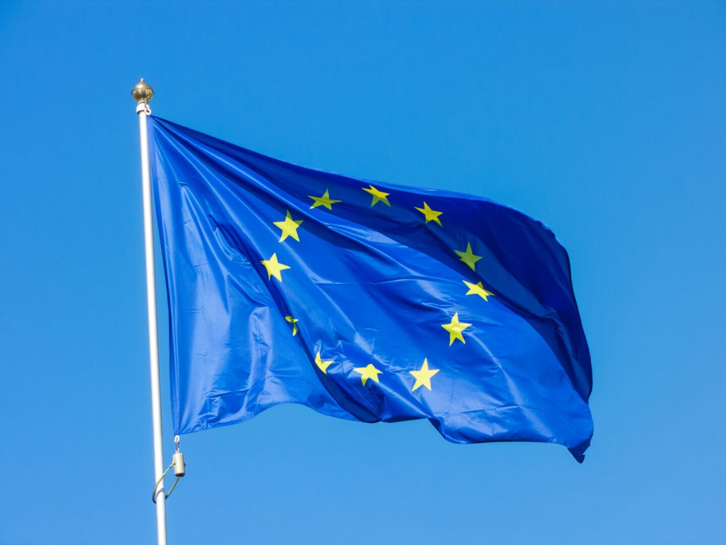 EU scaleups