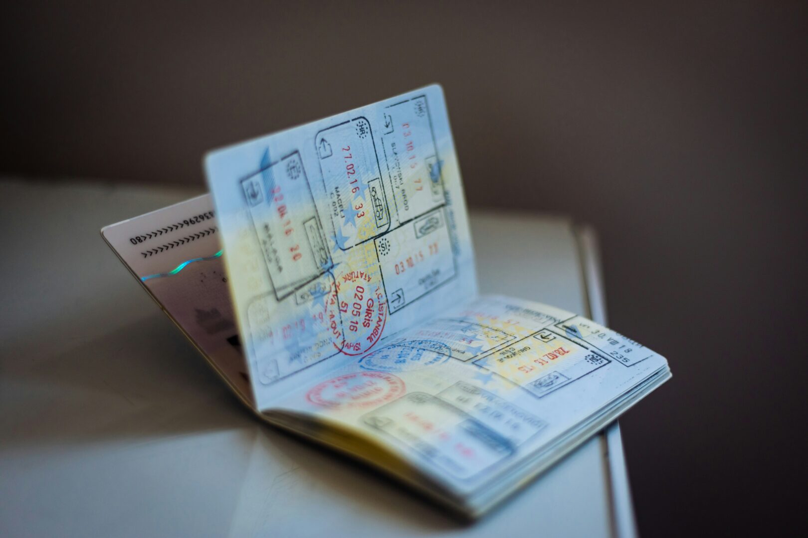 Golden Passports