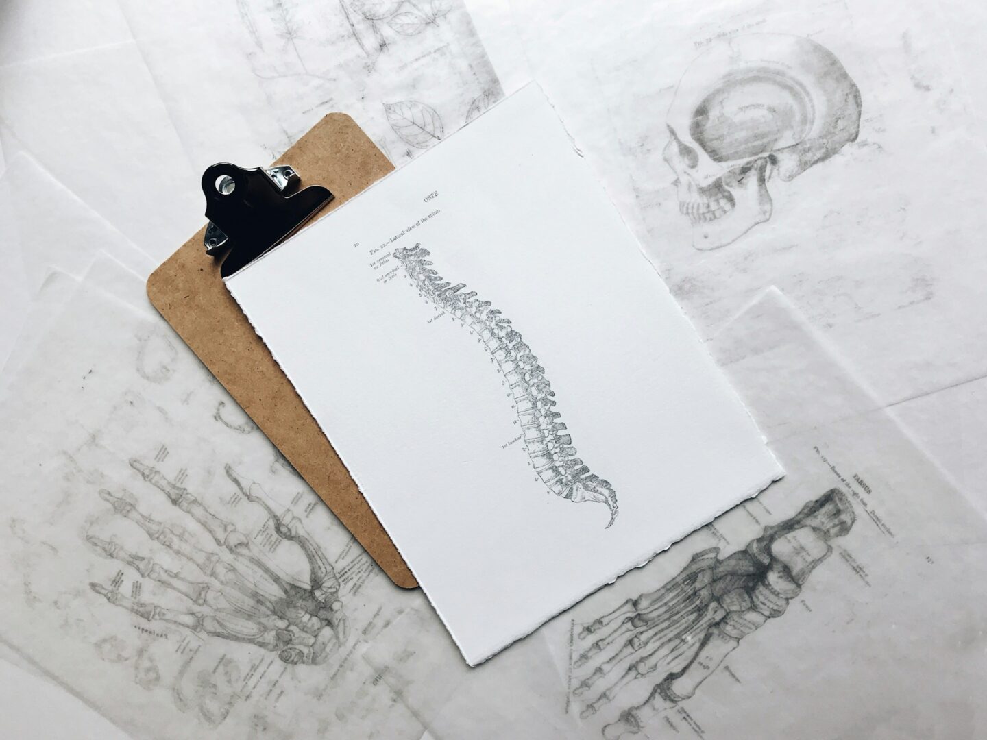 Spine Posture