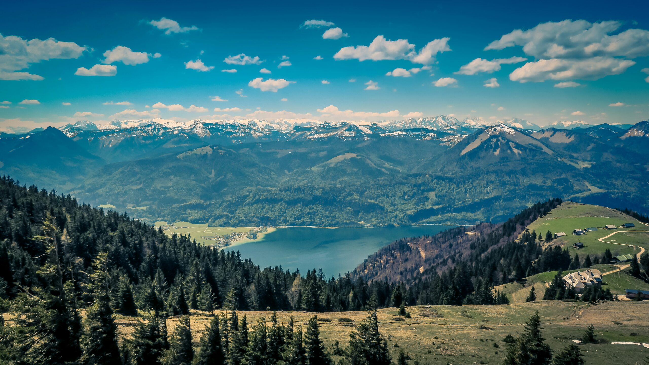 austria-mountainside