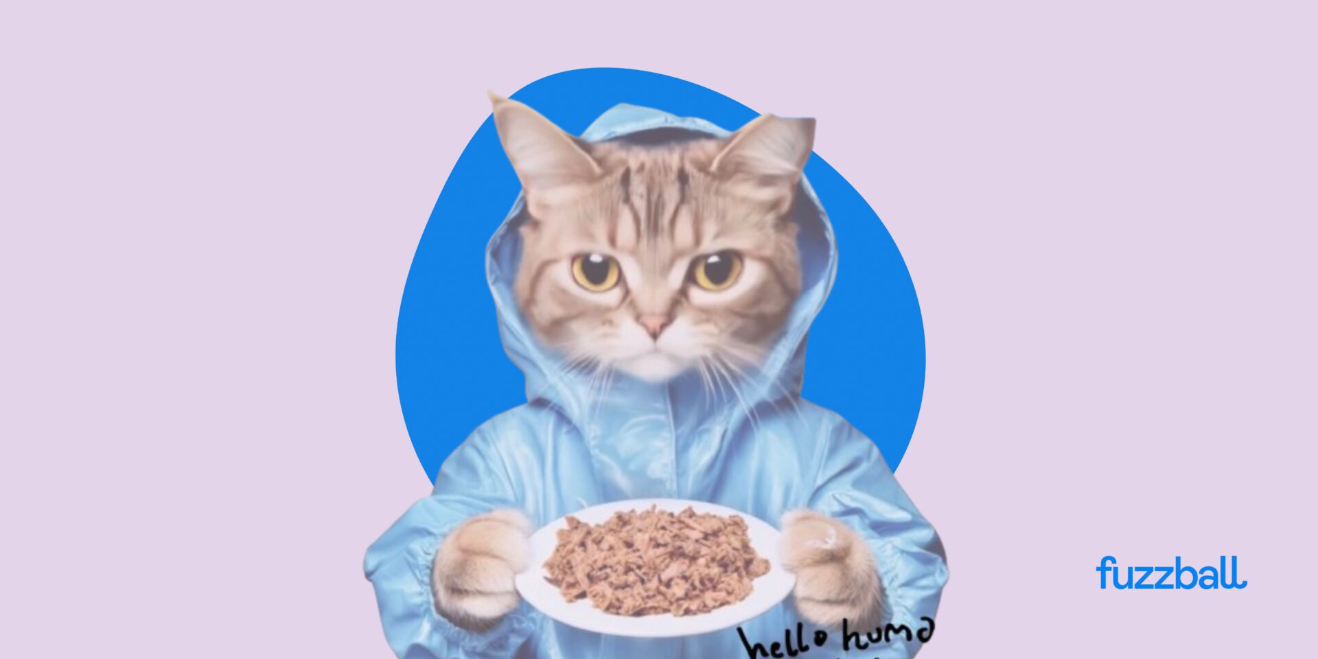 fuzzball quality cat food subscription