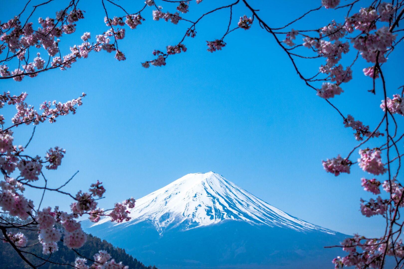 mount-fuji