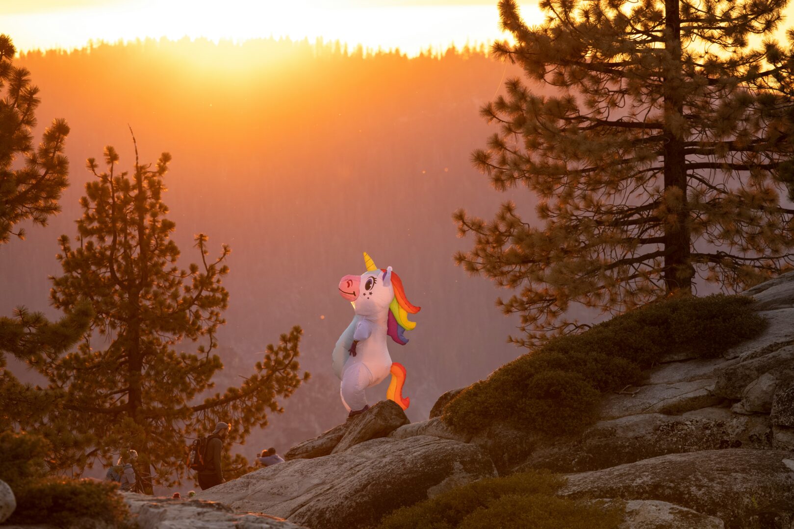unicorn