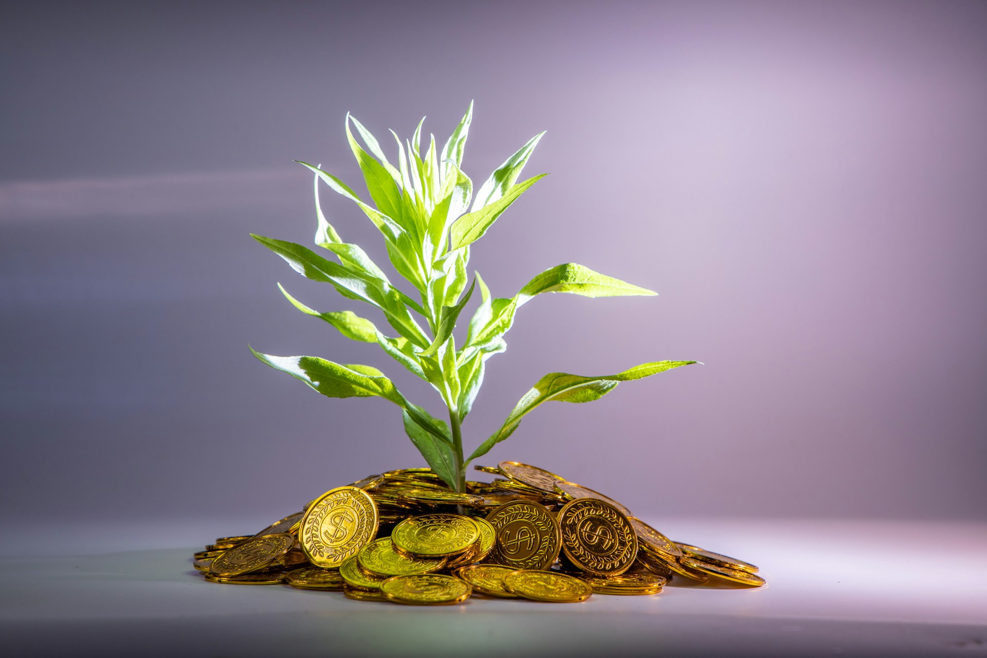 Cognition AI raises a $1.0B Series C round