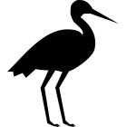 blackstork-logo