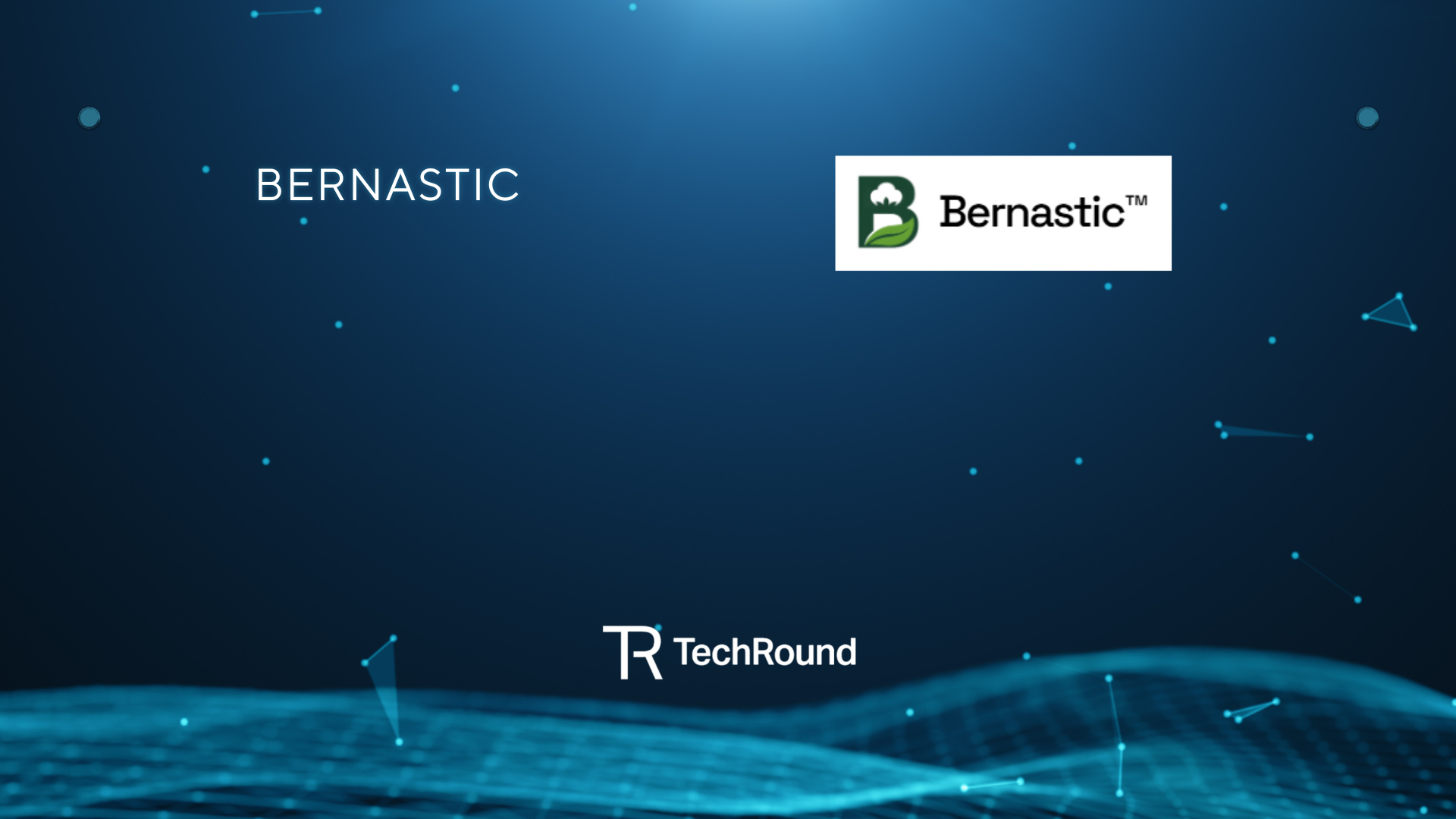 bernastic-26