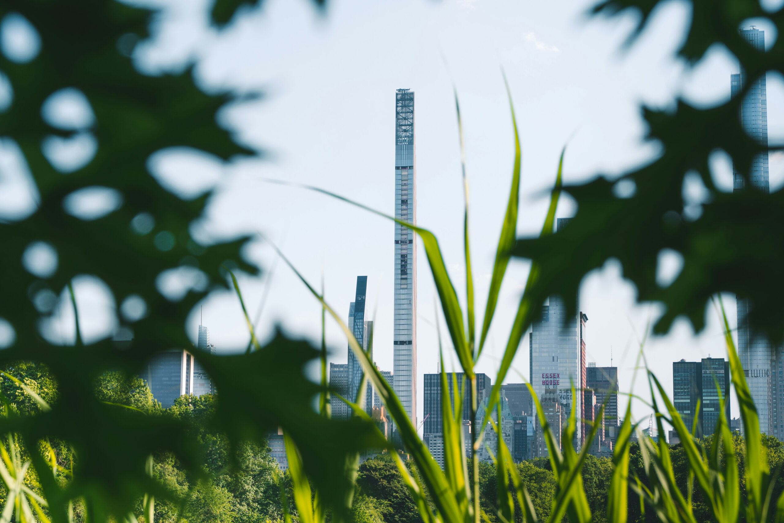 What Are Carbon Credits For Business And How Do They Work?