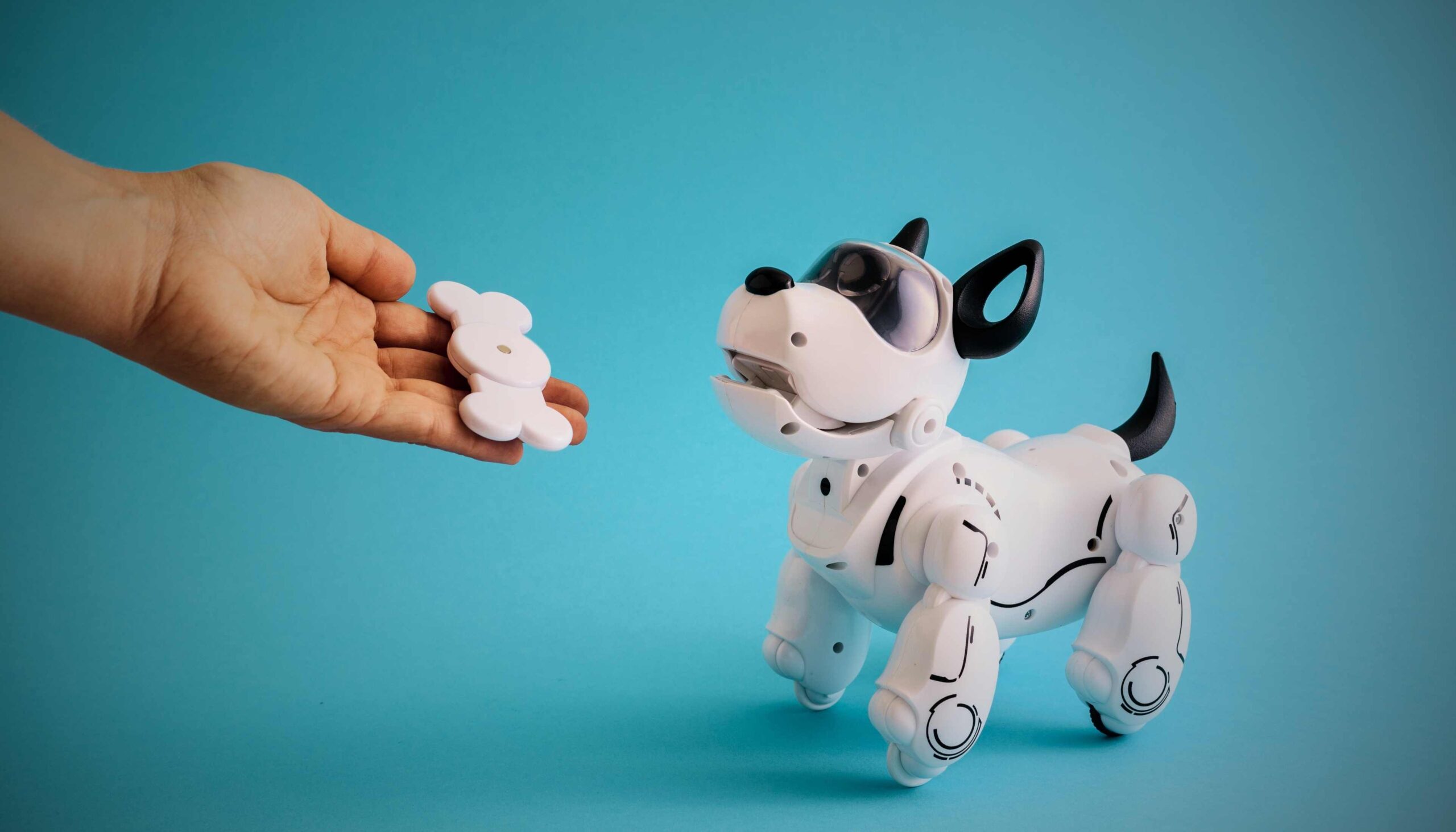 The Inventor Of The Roomba Thinks The Next Big Thing In Robotics Is Feelings