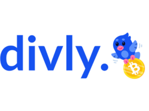 Divly-logo
