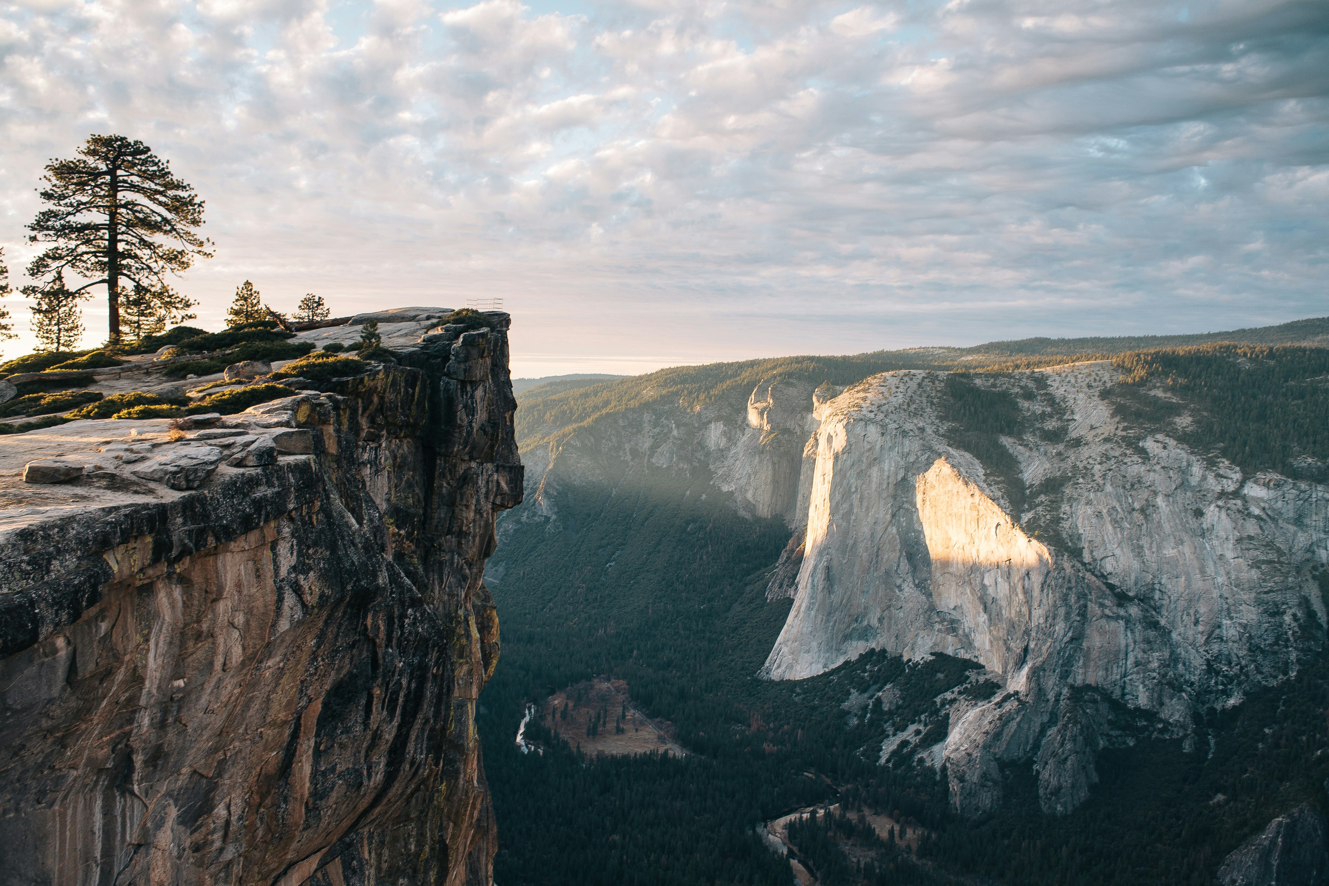 cliff-vesting