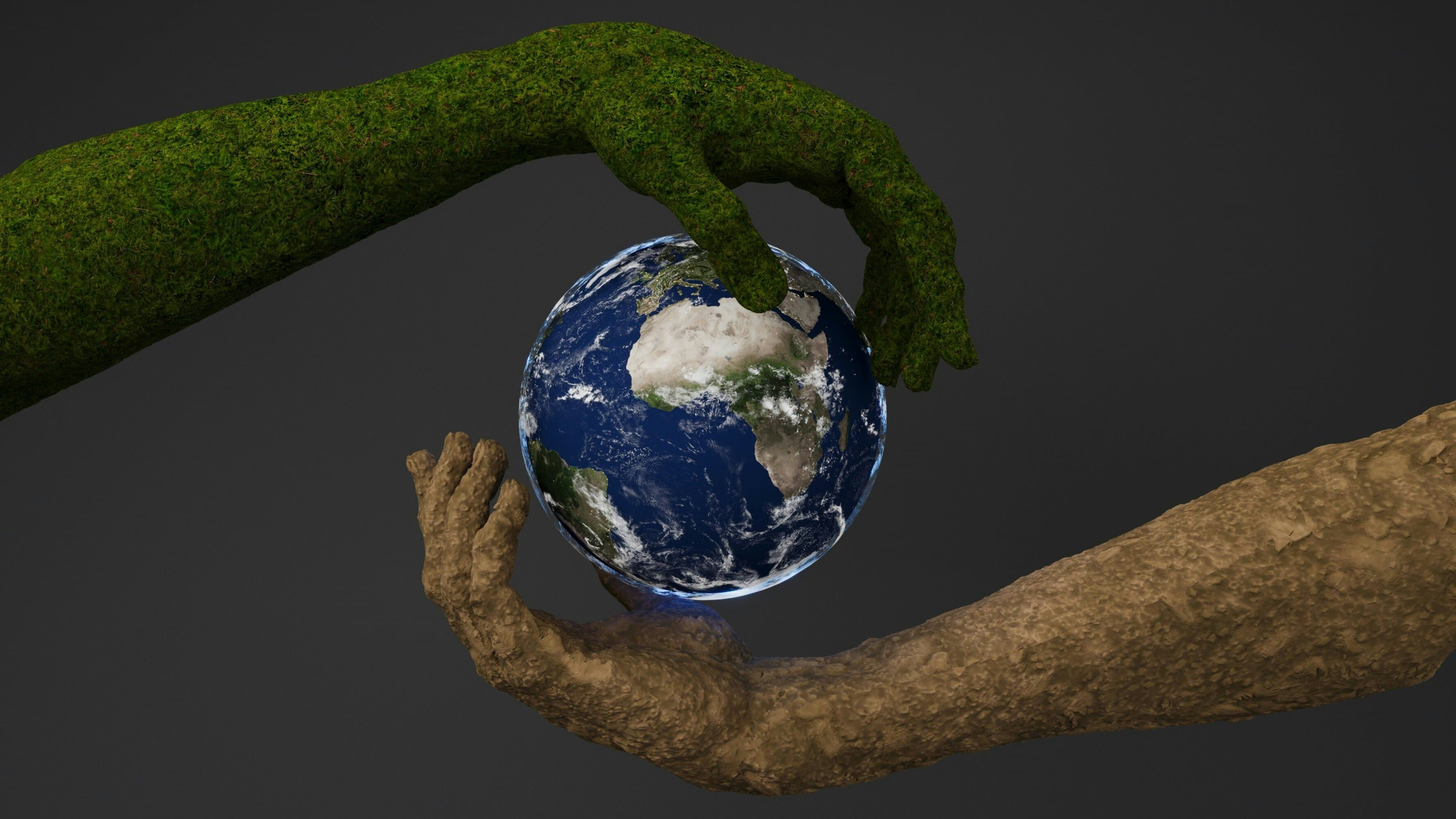 net-zero-meta