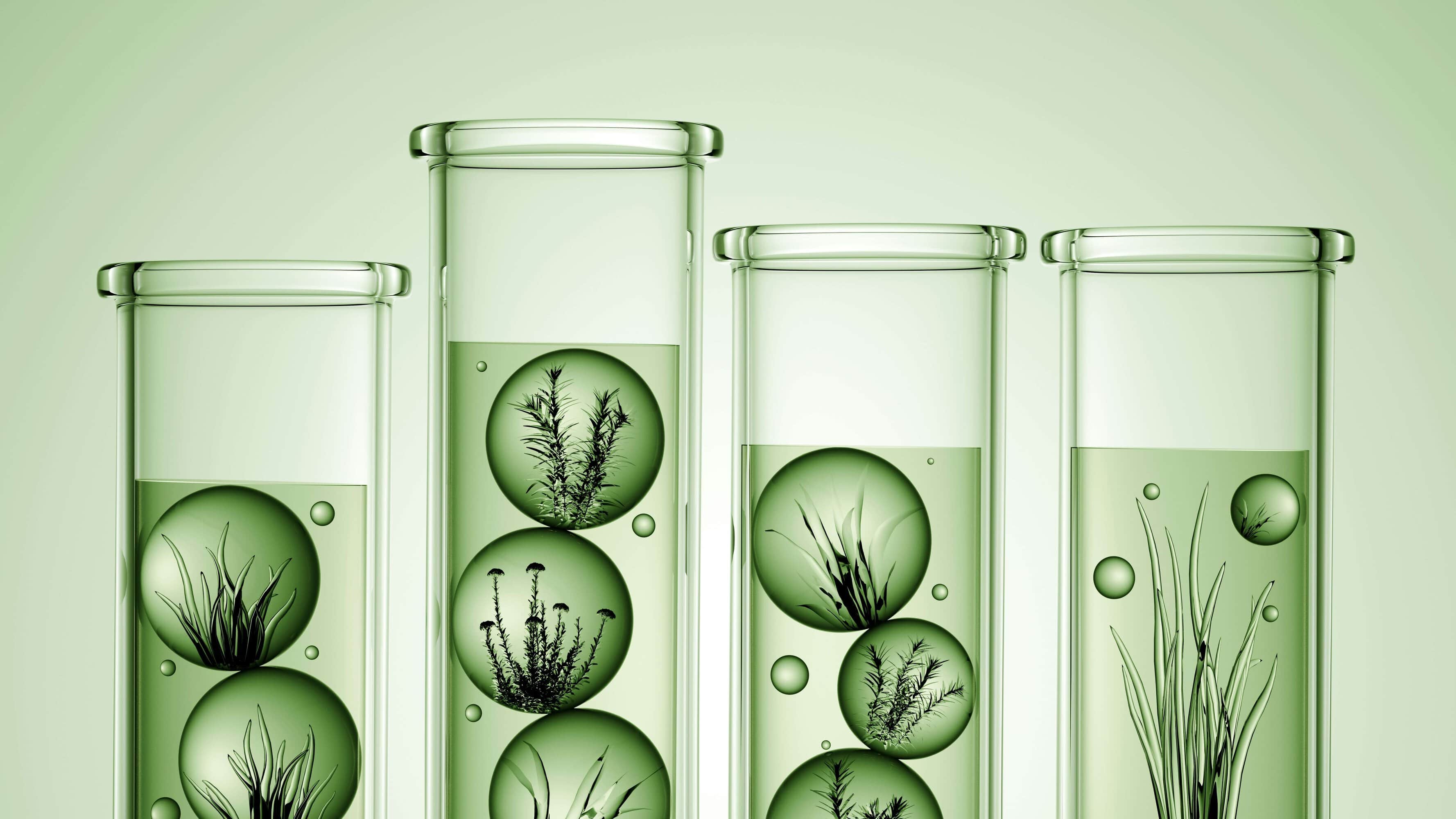 Bacteria, Billions and Buzzwords: Is the Gut Microbiome Startup Boom Backed by Science?