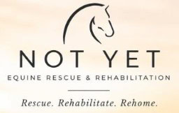 Not-Yet-logo